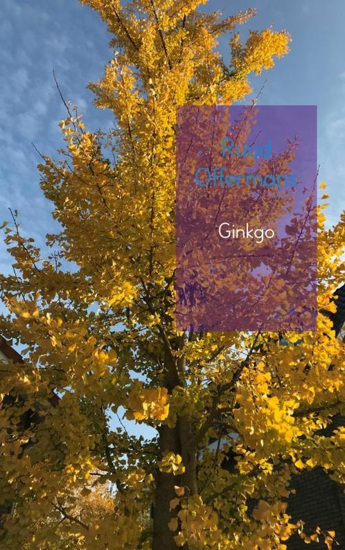 Ginkgo 9789461938671 Ruud Offermans, Boeken, Thrillers, Zo goed als nieuw, Verzenden