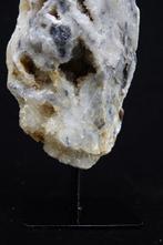 Sphalerite tower op standaard Taxidermie volledige montage -