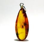 Pendentif rare en ambre baltique avec quatre mouches, Collections, Collections Animaux