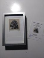 Miguel Ángel Alfaro Rey - Star Wars - Lithography - Set of, Nieuw