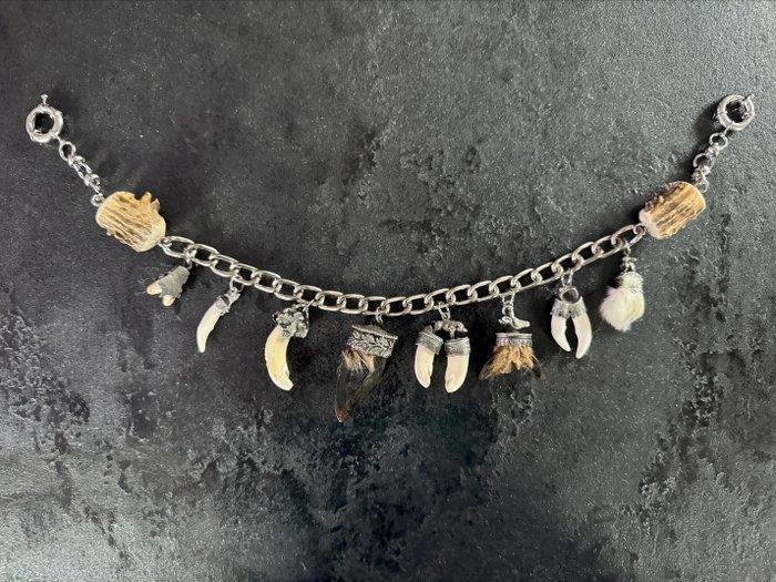 Trophée de chasse, Antiquités & Art, Curiosités & Brocante