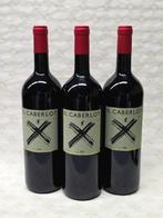 2001 Il Caberlot - #736, #737, #738 - Toscane DOCG - 3, Nieuw