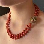 Chaîne - 14 carats Or jaune Corail rouge - Corail -