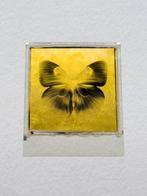 christof rene schmidt - Butterfly