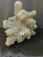 Amethyst met pyriet, epimorf Kristallen - Hoogte: 170 mm -, Verzamelen