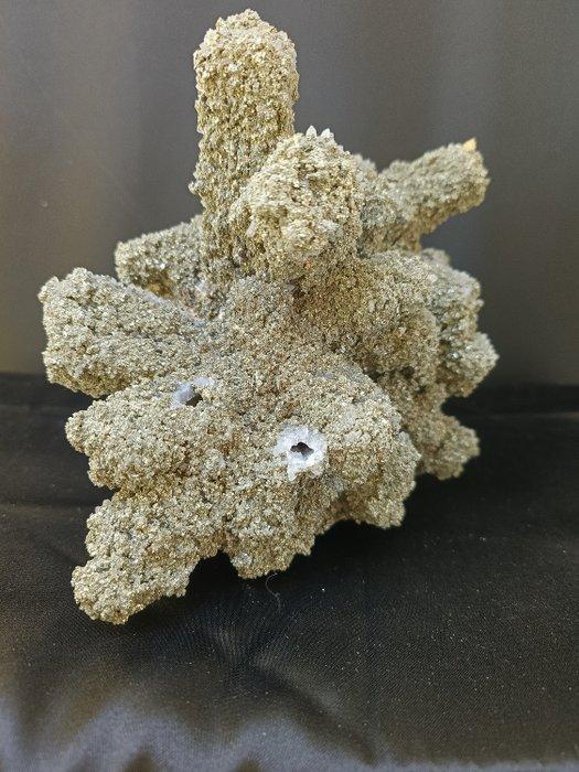 Amethyst met pyriet, epimorf Kristallen - Hoogte: 170 mm -, Verzamelen, Mineralen en Fossielen