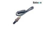 Capteur doxygène BMW C 600 Sport (C600 K18), Motoren, Verzenden, Nieuw