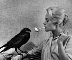 Philippe Halsman (1906-1979) - Tippi Hedren. Hollywood, Los, Antiek en Kunst