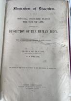 George Viner - G.H.Ford - Illustrations of Dissections in a