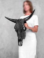 PAS DE PRIX DE RÉSERVE - Vrai grand crâne de taureau noir