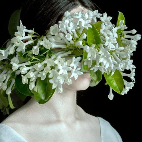 Elena Paraskeva - Botanica Somnia #1 - XL, Antiek en Kunst, Kunst | Designobjecten
