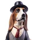 Beeldje - Dressed dog - Hars