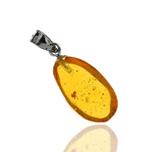 Sterling zilveren Dominicaanse amberhanger - met fossiele, Verzamelen