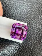 Zonder minimumprijs - 1 pcs Paars Amethist - 59.31 ct -, Handtassen en Accessoires, Edelstenen, Nieuw