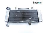 Radiateur Kawasaki NINJA 125 2021 (BX125), Motoren, Onderdelen | Kawasaki, Verzenden, Gebruikt