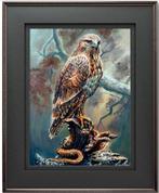 BarBeni (1981) - The Silent Guardian – Odin’s Hawk