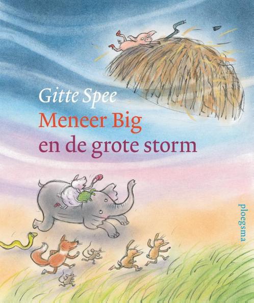 Meneer Big en de grote storm 9789021683553 Gitte Spee, Boeken, Overige Boeken, Gelezen, Verzenden