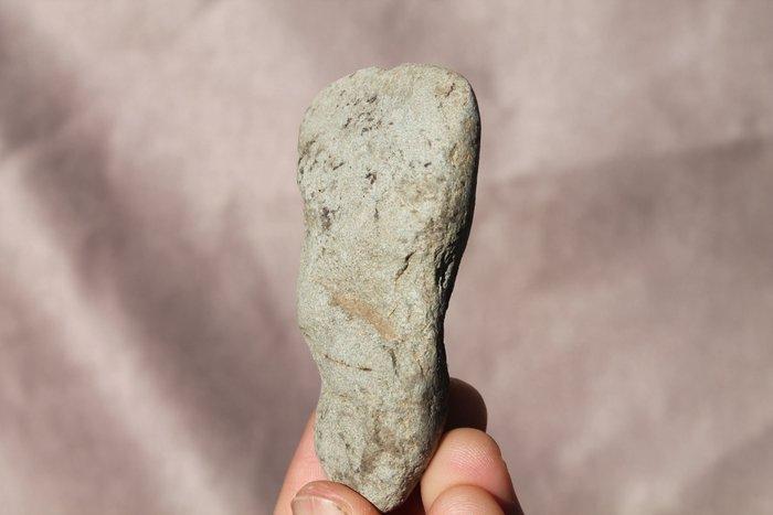 Neolithisch dolérite Bijl - 8 cm (Zonder minimumprijs), Antiquités & Art, Antiquités | Autres Antiquités