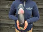 Presse-papier - XL Glass with Jellyfish - Glas