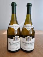2020 & 2019 Domaine Château de Meursault Les Charmes, Collections, Vins
