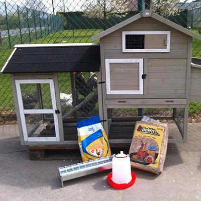 Kippenhok Colombus Stone Starterspakket, Dieren en Toebehoren, Pluimvee | Toebehoren, Nieuw