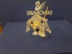 Swarovski - Beeld, Dachshund - 010003 - Box + Certificate -, Antiek en Kunst