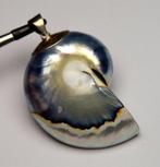Zilver 925 - Zwarte Nautilus parelmoerachtige schelp - 17 g