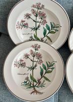 Villeroy & Boch - Bord (6) - bitanica - Porselein, Antiek en Kunst