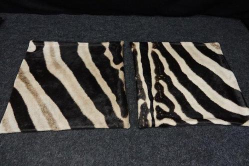 real zebra skin covers - Coussin (2), Verzamelen, Dierenverzamelingen