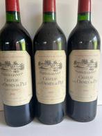 1993 Chateau Les Ormes de Pez - Saint-Estèphe Cru Bourgeois, Verzamelen, Wijnen, Nieuw