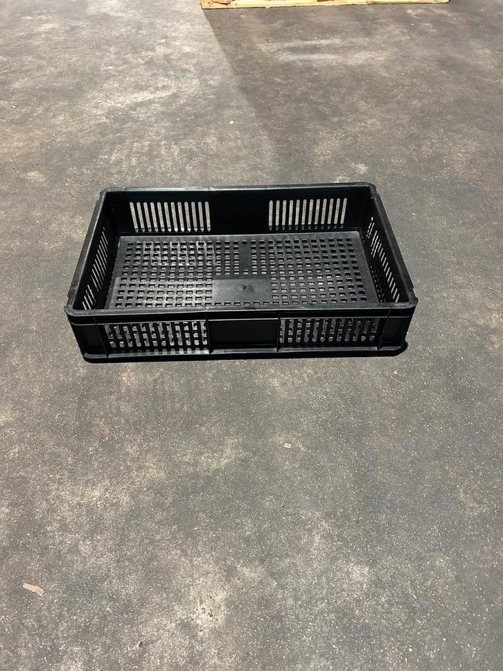 Partij kunststof kratten geperforeerd 60x40x12 cm., Doe-het-zelf en Bouw, Kratten en Dozen, 50 tot 75 cm, Gebruikt, Krat, Minder dan 35 cm