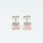 Sans Prix de Réserve - Boucles doreilles - 18 carats Or