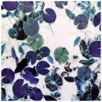 Bernd Lieven - The rise and fall of Waterlilies X