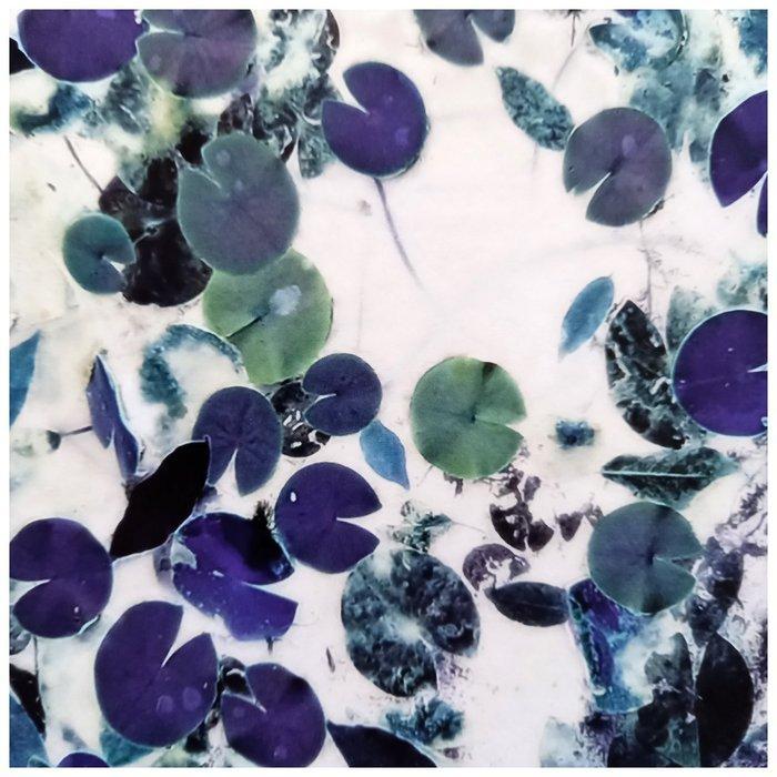 Bernd Lieven - The rise and fall of Waterlilies X, Antiek en Kunst, Kunst | Designobjecten