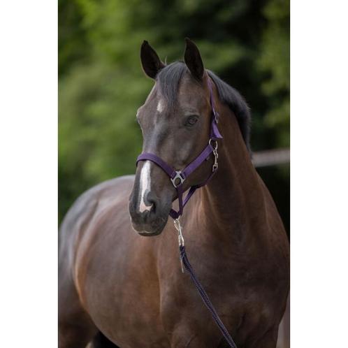 Nylonhalster hippo, maat 00 - aubergine - kerbl, Dieren en Toebehoren, Paarden en Pony's | Overige Paardenspullen, Nieuw