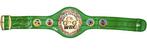 Boxing - Floyd Mayweather Jr. - Green WBC World Championship, Nieuw