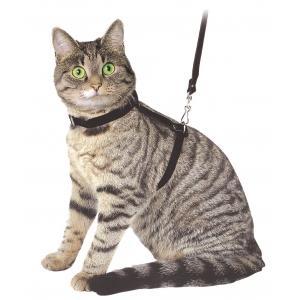 Harnais pour chat velours noir, Animaux & Accessoires, Accessoires pour chats