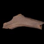 Neolithisch Zeer zeldzaam met houten bijl en hamer gesneden