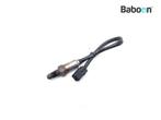 Lambda Sonde Triumph Trident 660 2020->, Verzenden, Gebruikt