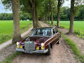 Mercedes-Benz - W108 280 SE - 1968 beschikbaar voor biedingen