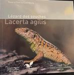 Luxemburg. 5 Euro 2021 Zandhagedis Proof (Zonder