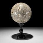 Ornement décoratif - NO RESERVE PRICE - Wonderful Pair of