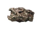 Campo del Cielo meteorite IJzer meteoriet - 100.3 g - (3)