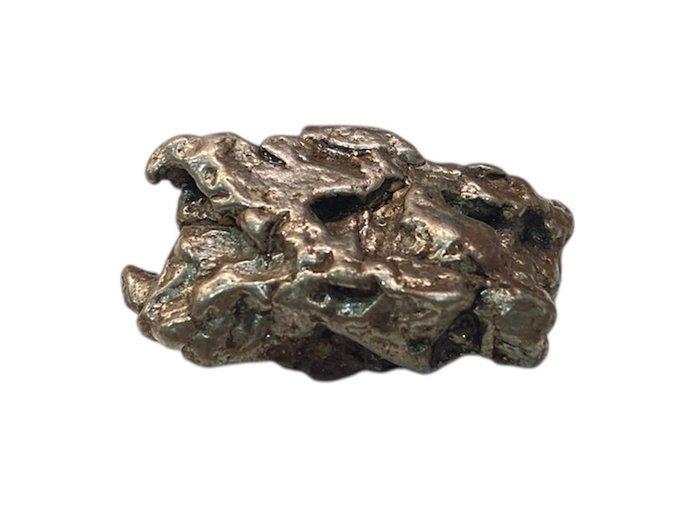 Campo del Cielo meteorite IJzer meteoriet - 100.3 g - (3), Verzamelen, Mineralen en Fossielen
