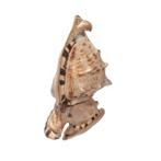 Zeldzame muschellampen uit 2 schelpen  29cm