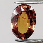 Saffier  - 0.75 ct - Instituto Gemólogico Español (IGE), Handtassen en Accessoires, Edelstenen, Nieuw