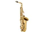 Veiling - Jean Paul AS-400GP USA Altsaxofoon, Muziek en Instrumenten, Blaasinstrumenten | Saxofoons, Nieuw