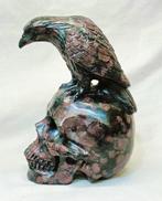 Raafsculptuur op een menselijke schedel, met de hand uit, Verzamelen