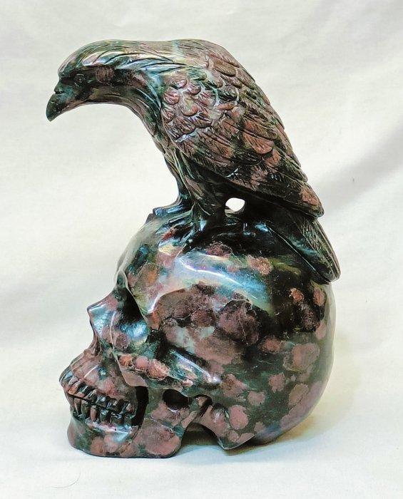 Raafsculptuur op een menselijke schedel, met de hand uit, Verzamelen, Mineralen en Fossielen