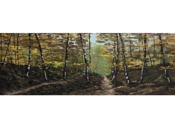 Xavier Rossell Solé - La Fageda den Jordà